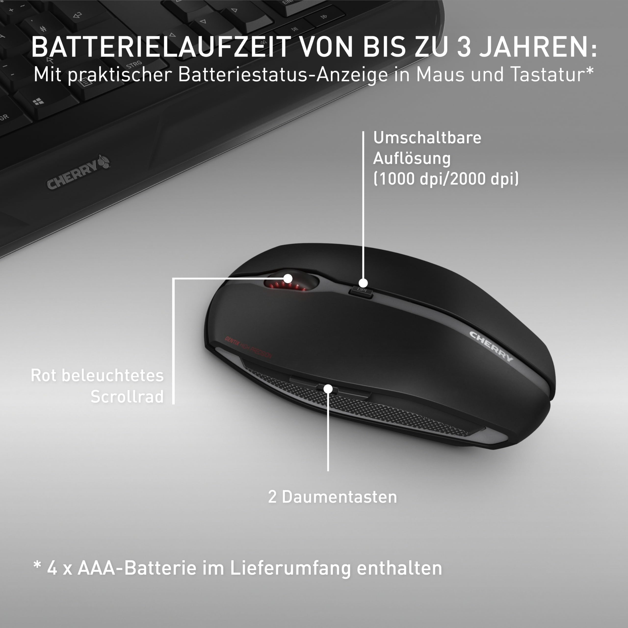 cherry-gentix-desktop-funk-set-tastatur-maus-qwertz-schwarz image 5