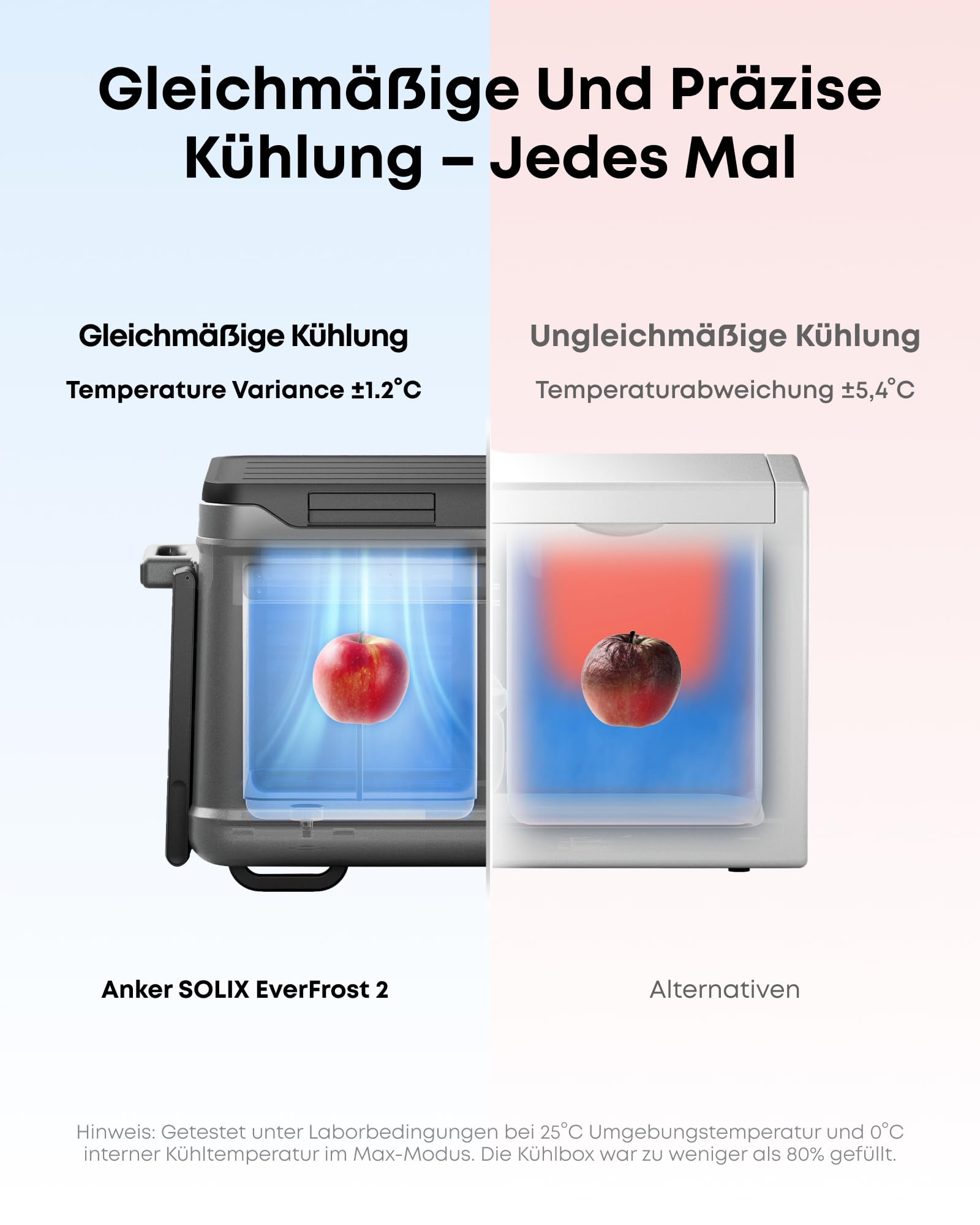 anker-solix-everfrost-2-58l-akku-k-hlbox-288wh-20-c-bis-20-c image 4